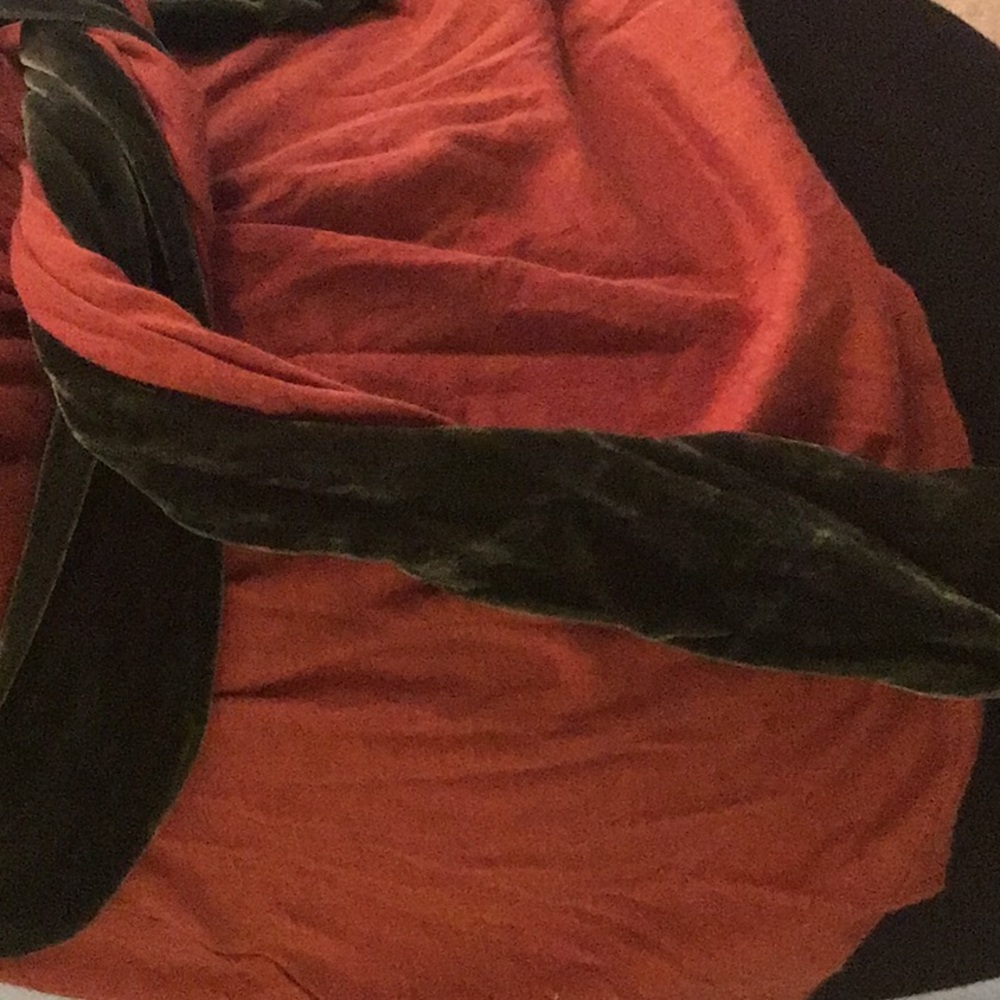 Anthropologie Orange Shirt w Green Velvet Detail - Picture 4 of 4